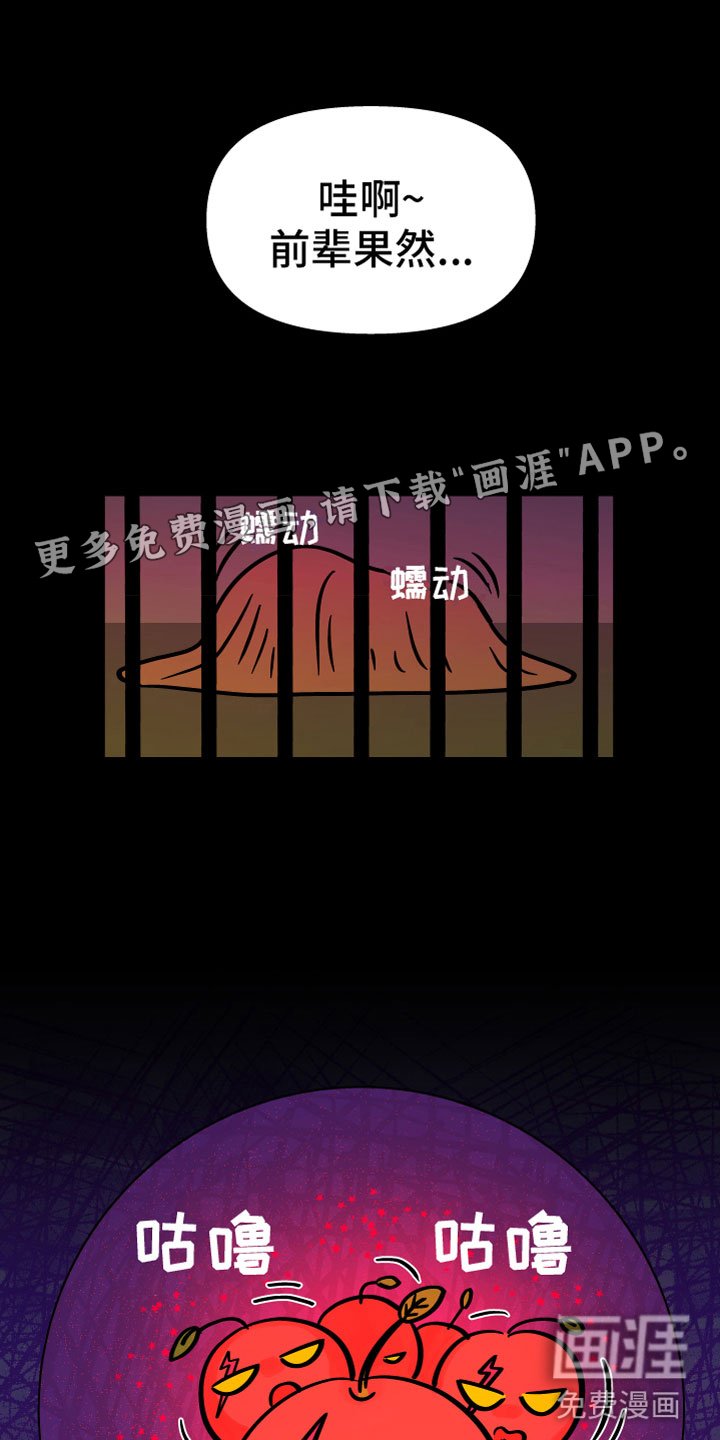 第15章：逃脱
