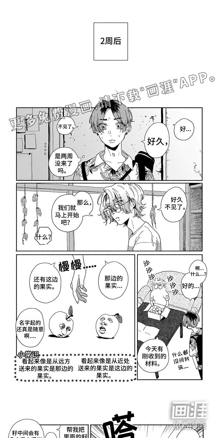 第12章：撒谎 