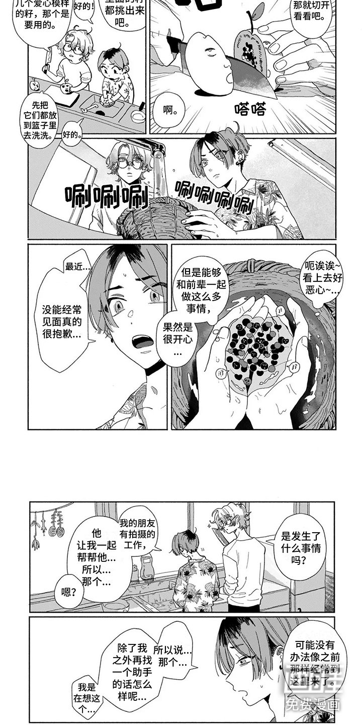第12章：撒谎 