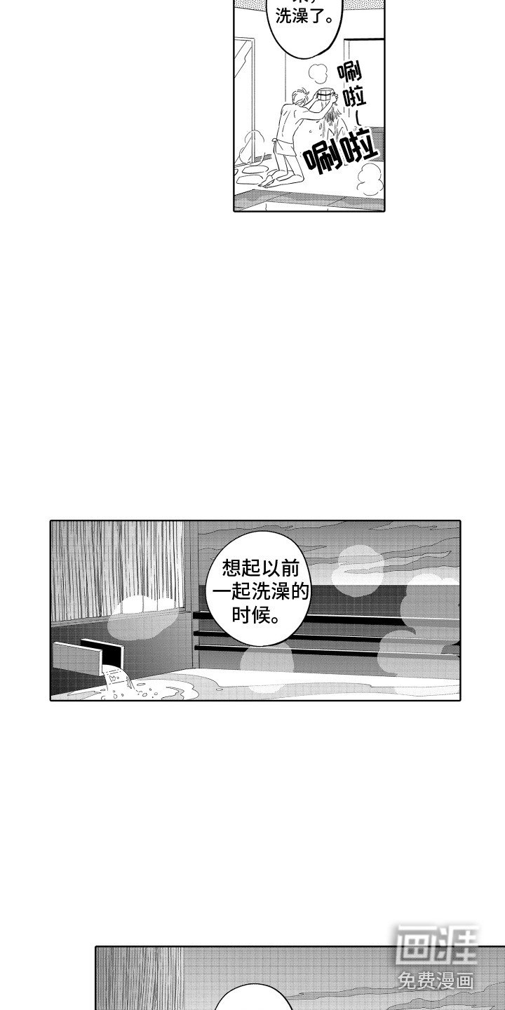 第23章：缺点 