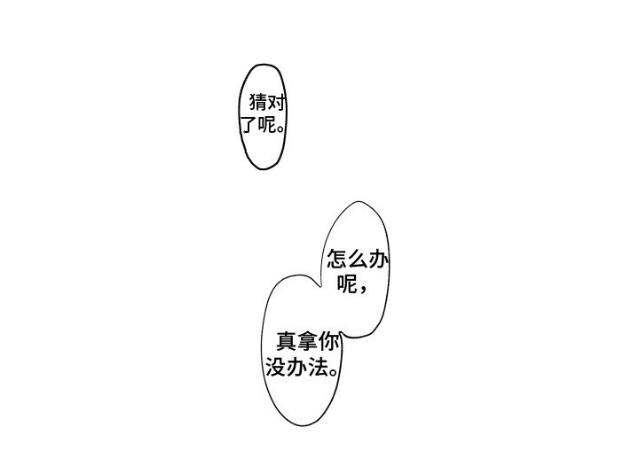第28章：玩偶 