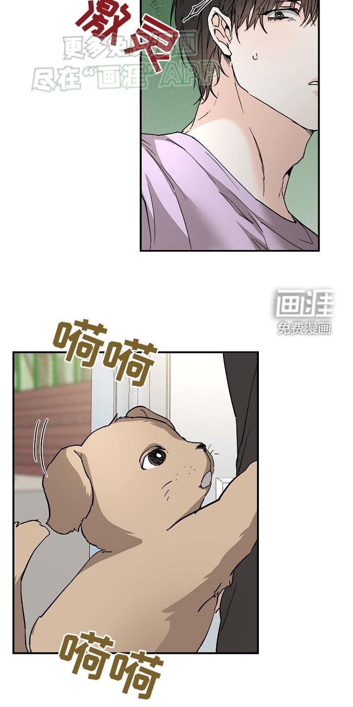 第102章：怕狗