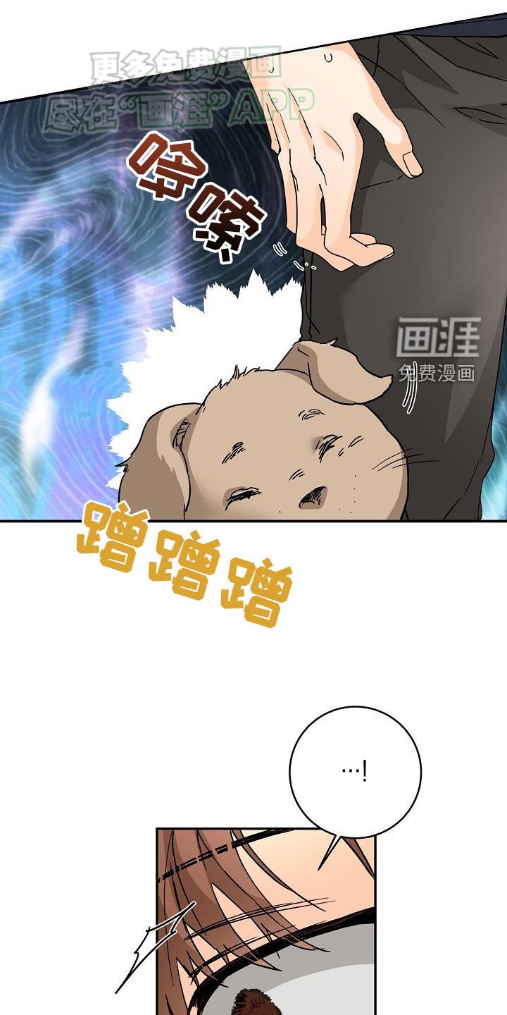 第102章：怕狗