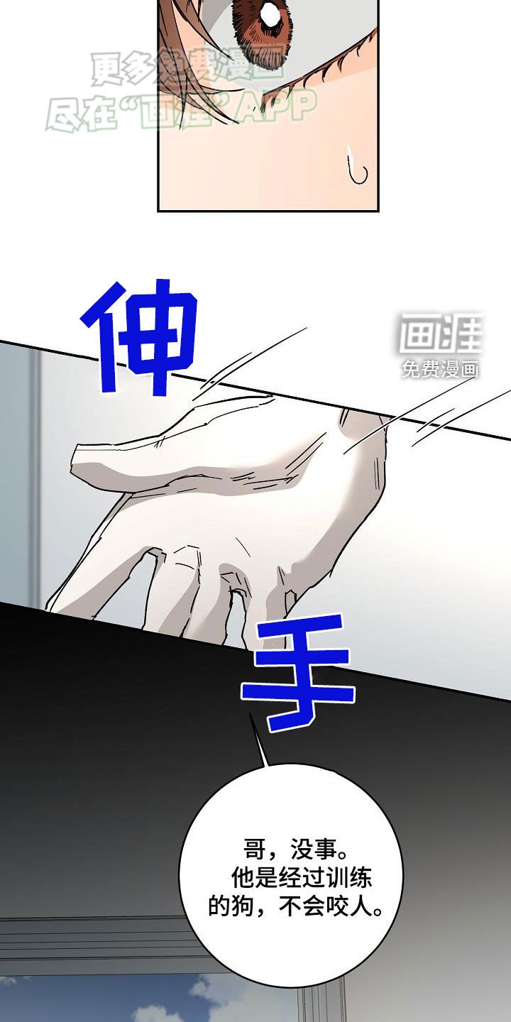 第102章：怕狗