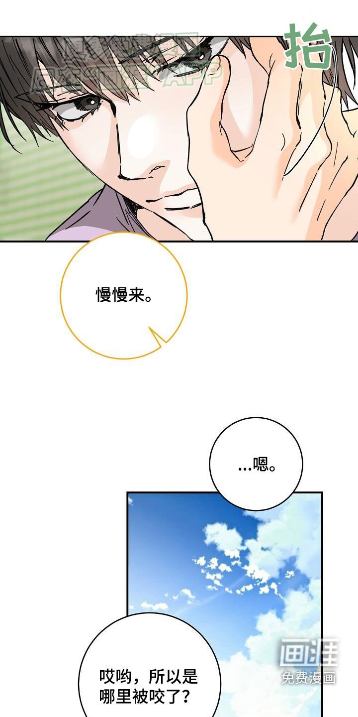 第103章：一起养狗