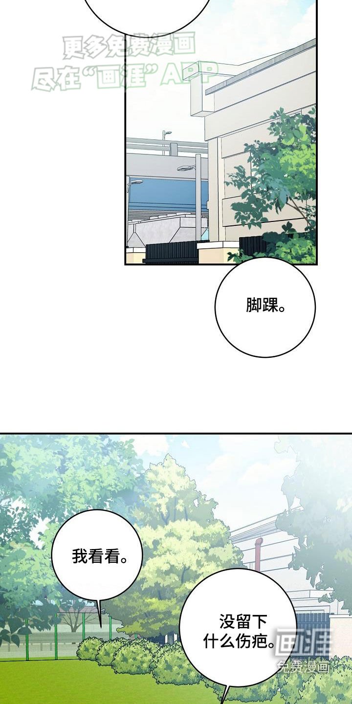 第103章：一起养狗