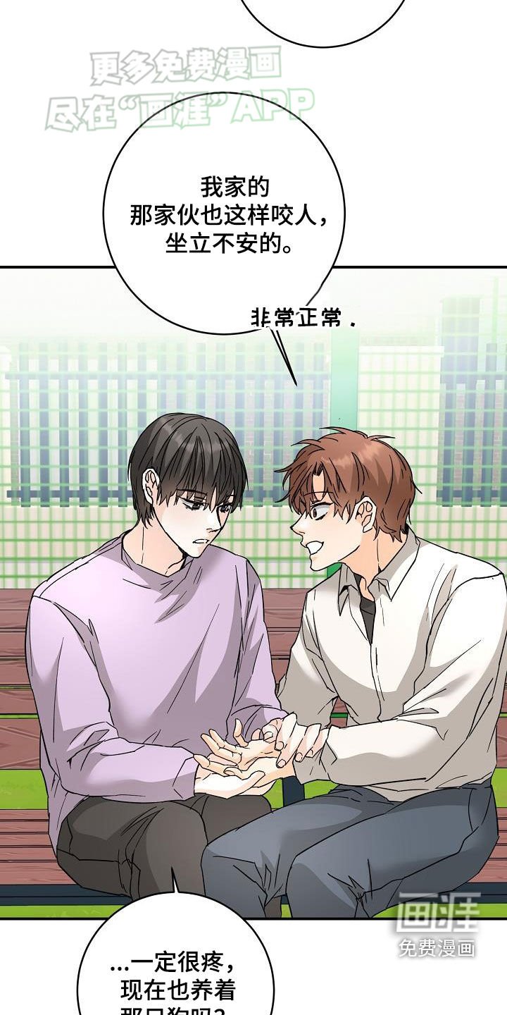 第103章：一起养狗