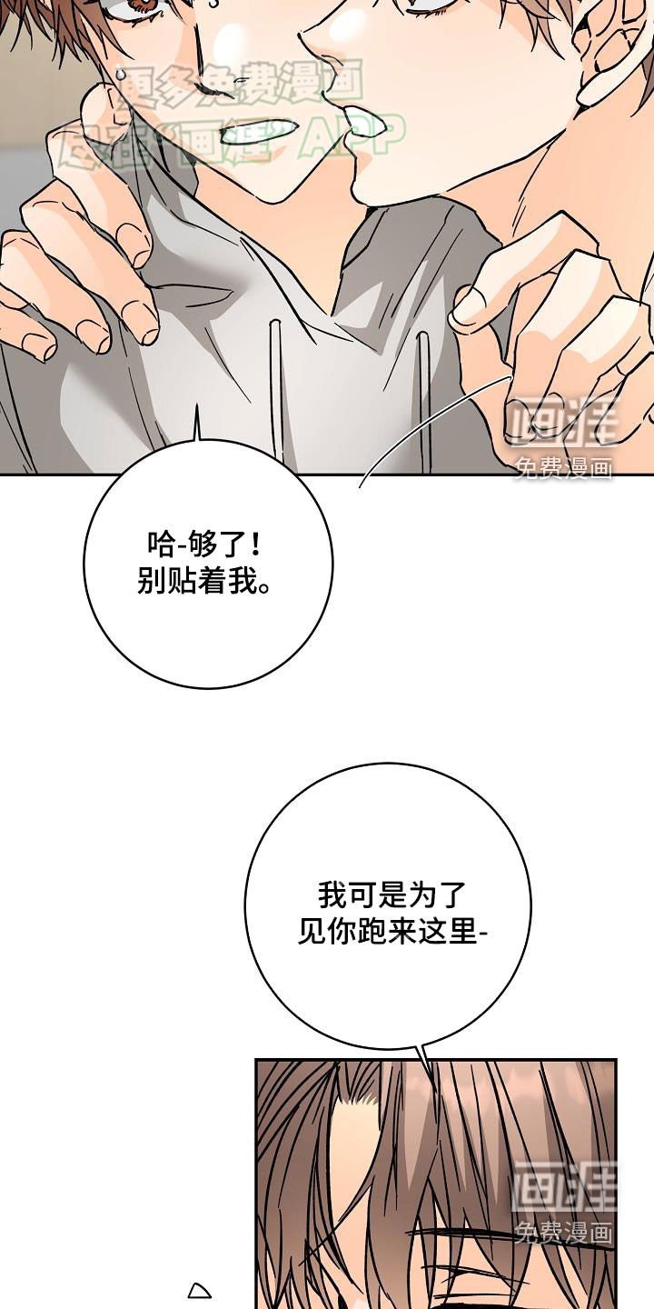 第104章：误会