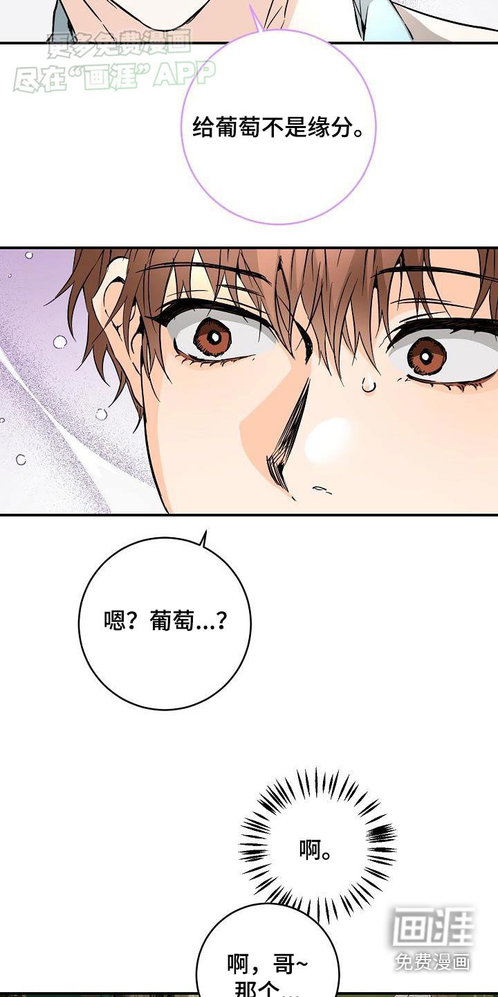 第112章：真神奇