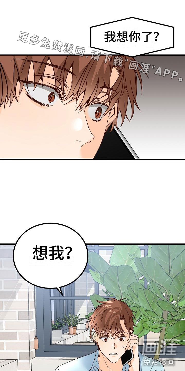 第17章：理想型