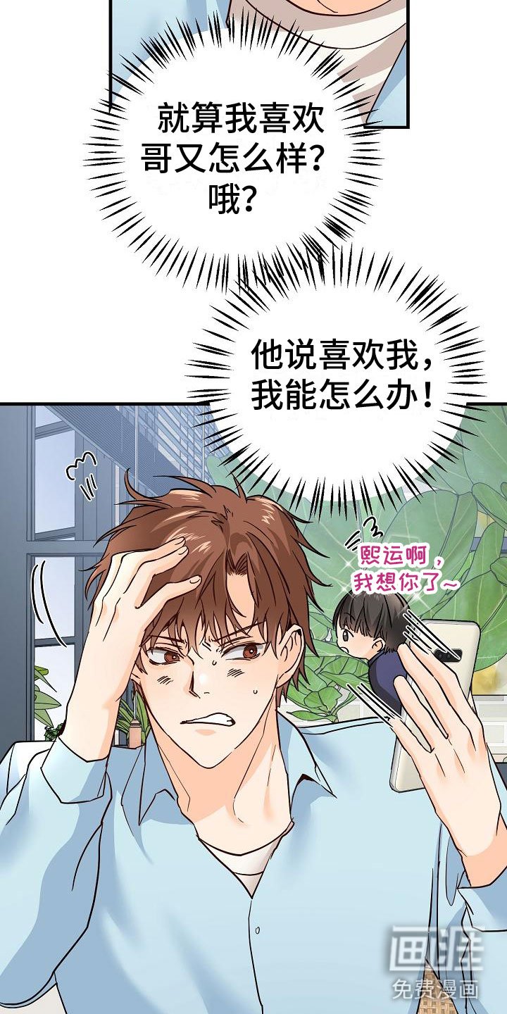 第17章：理想型
