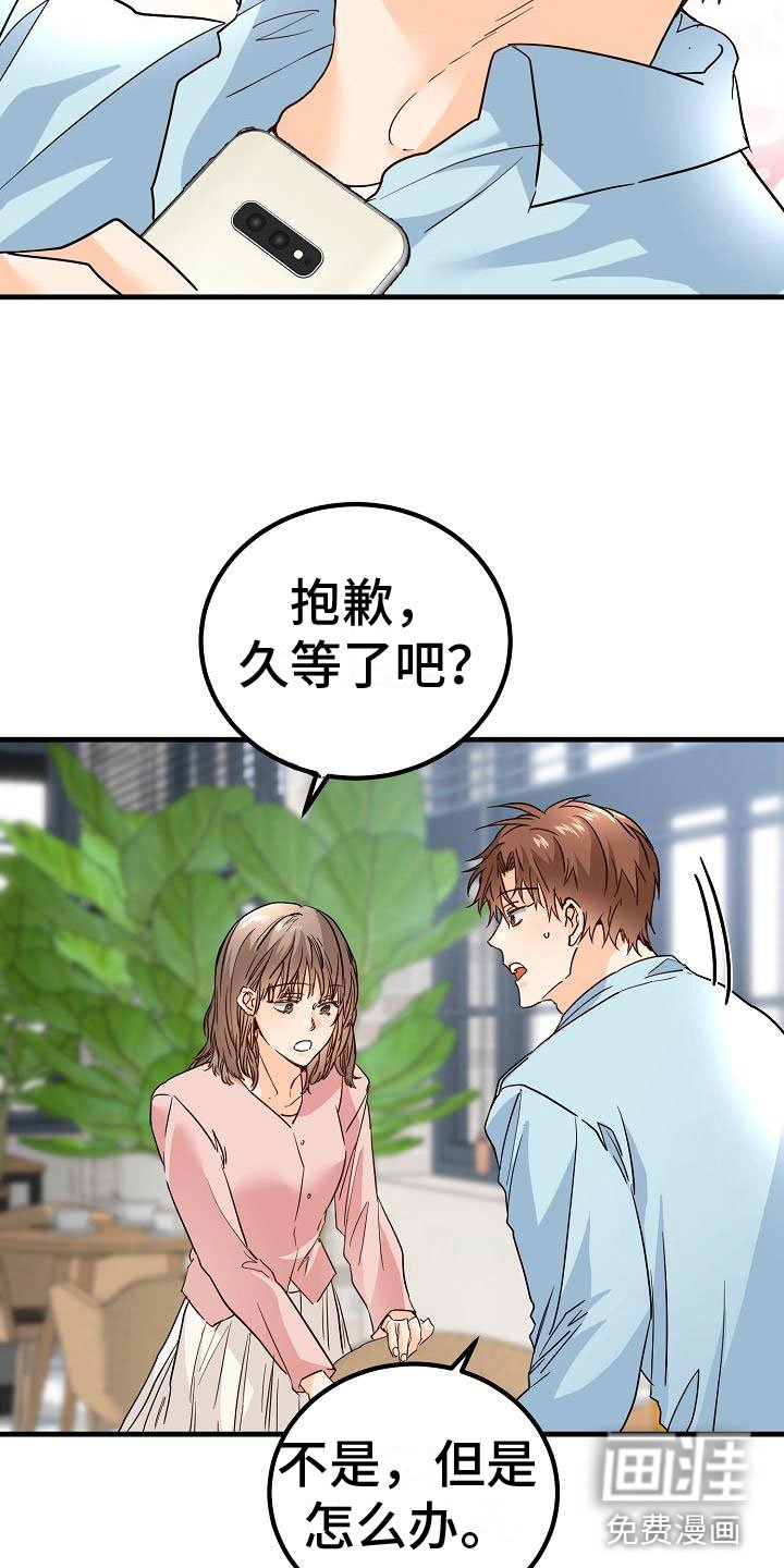 第17章：理想型