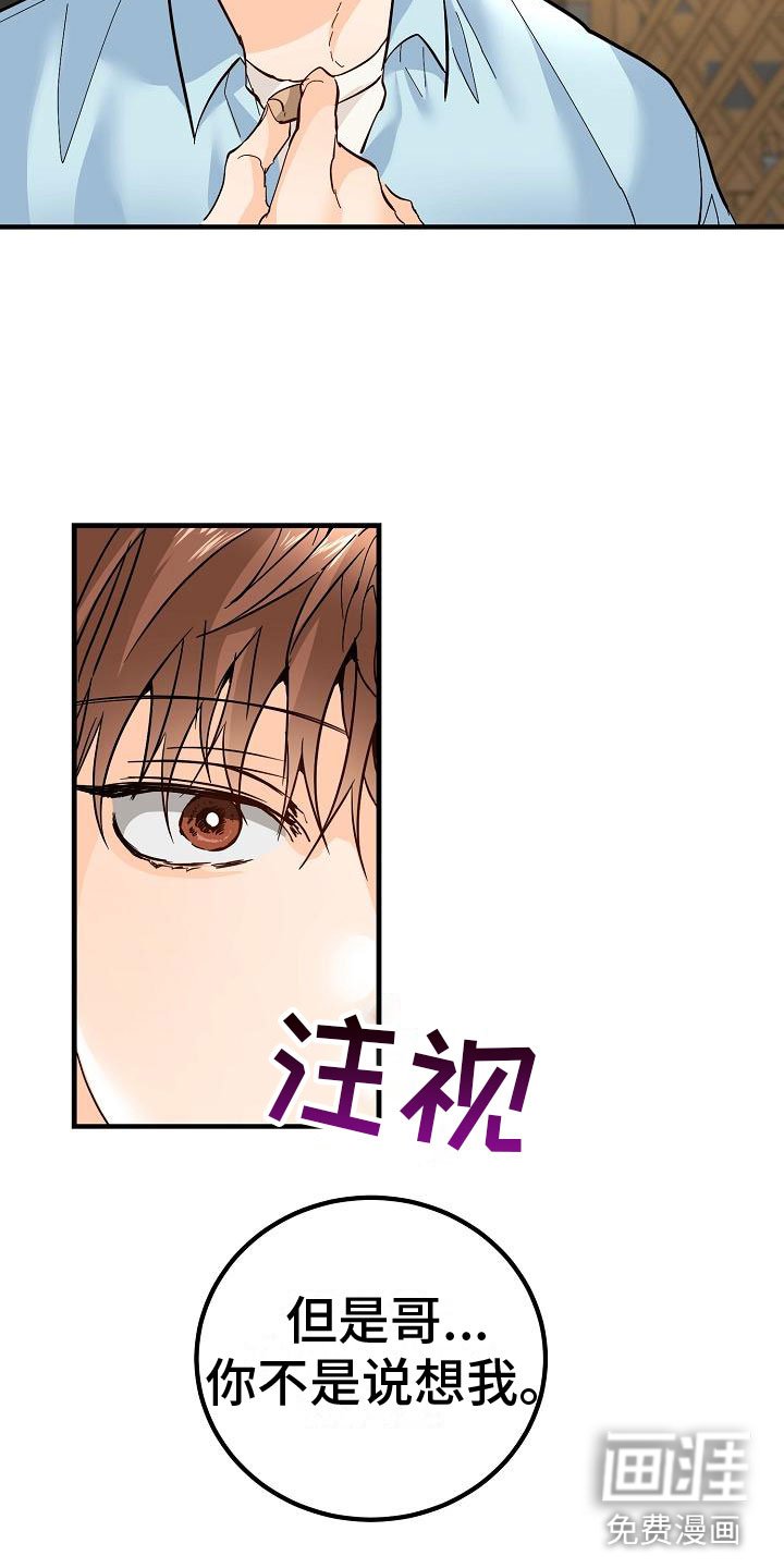 第17章：理想型