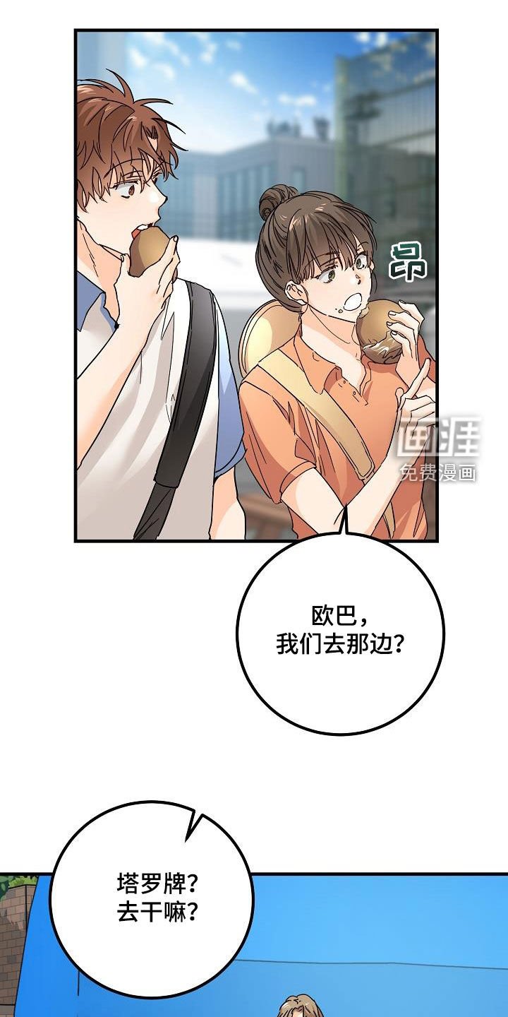 第25章：塔罗牌