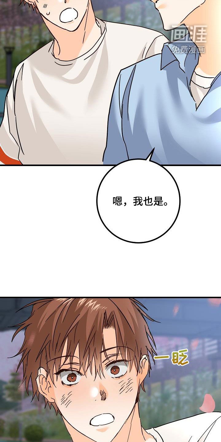 第32章：恋爱