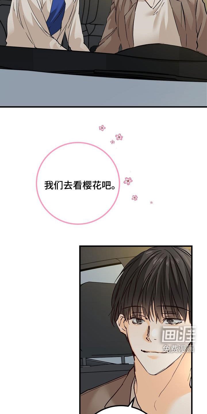 第36章：视频