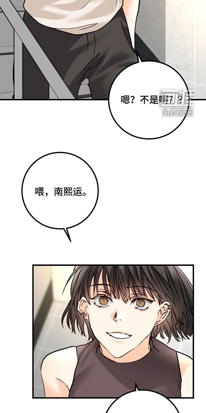 第36章：视频