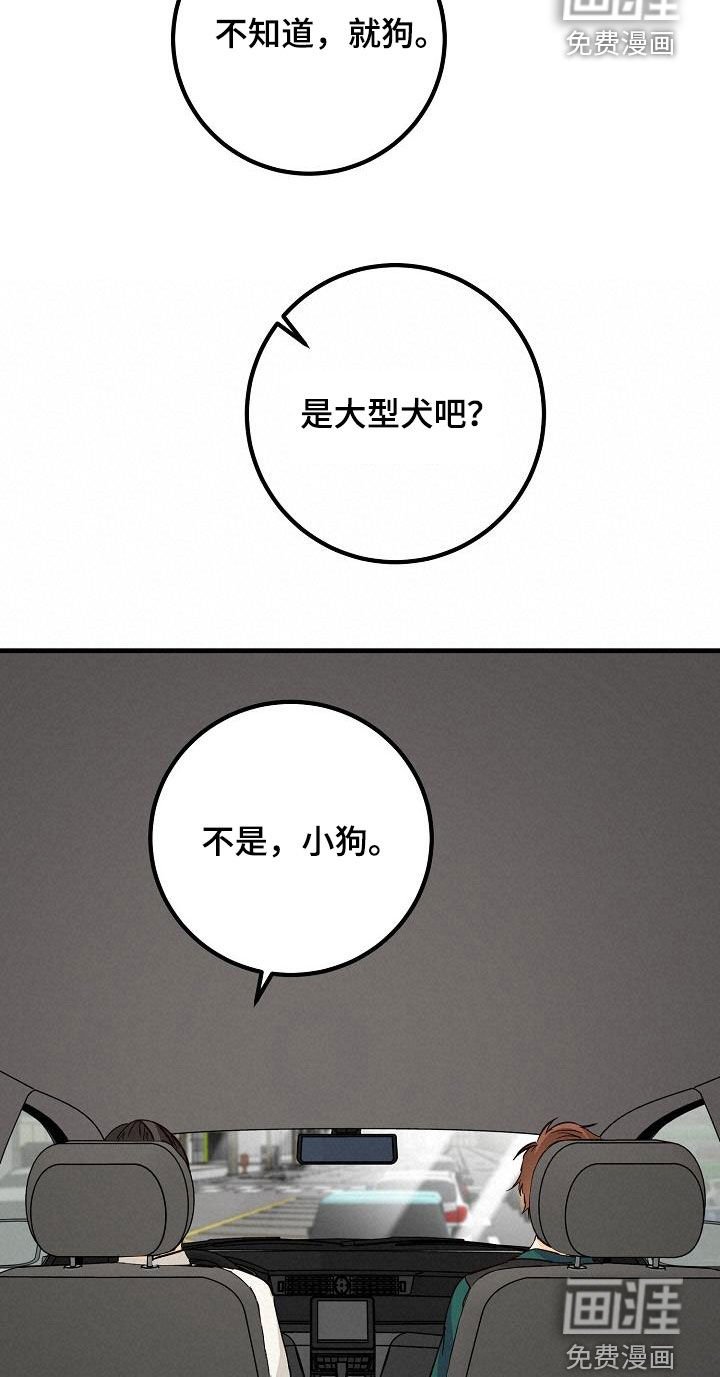 第38章：碰撞
