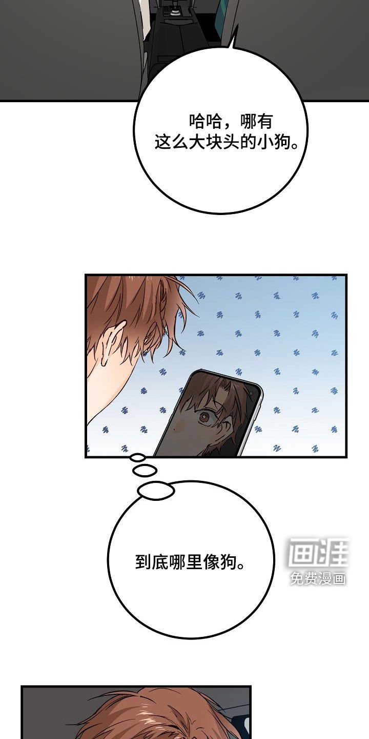 第38章：碰撞