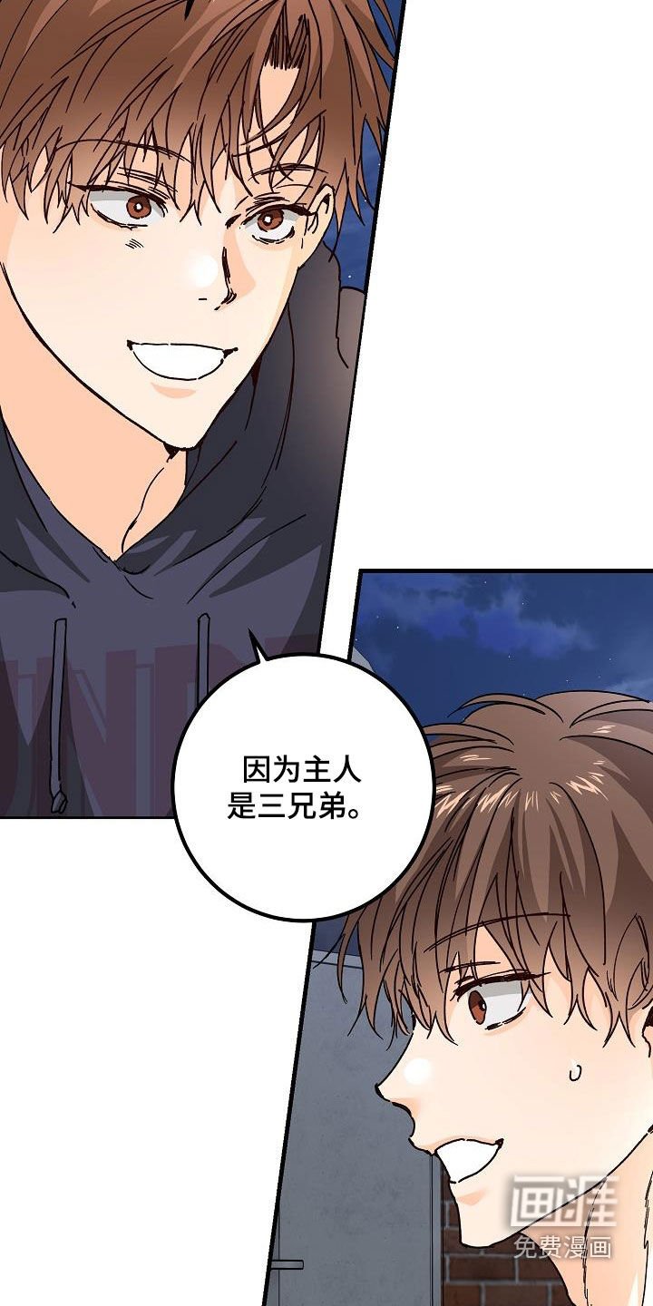 第47章：三兄弟