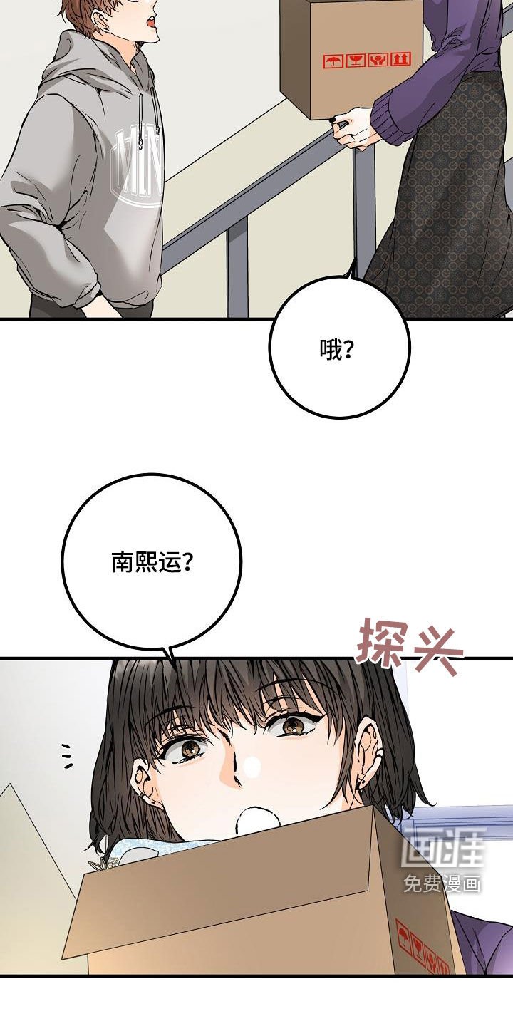 第59章：帖子