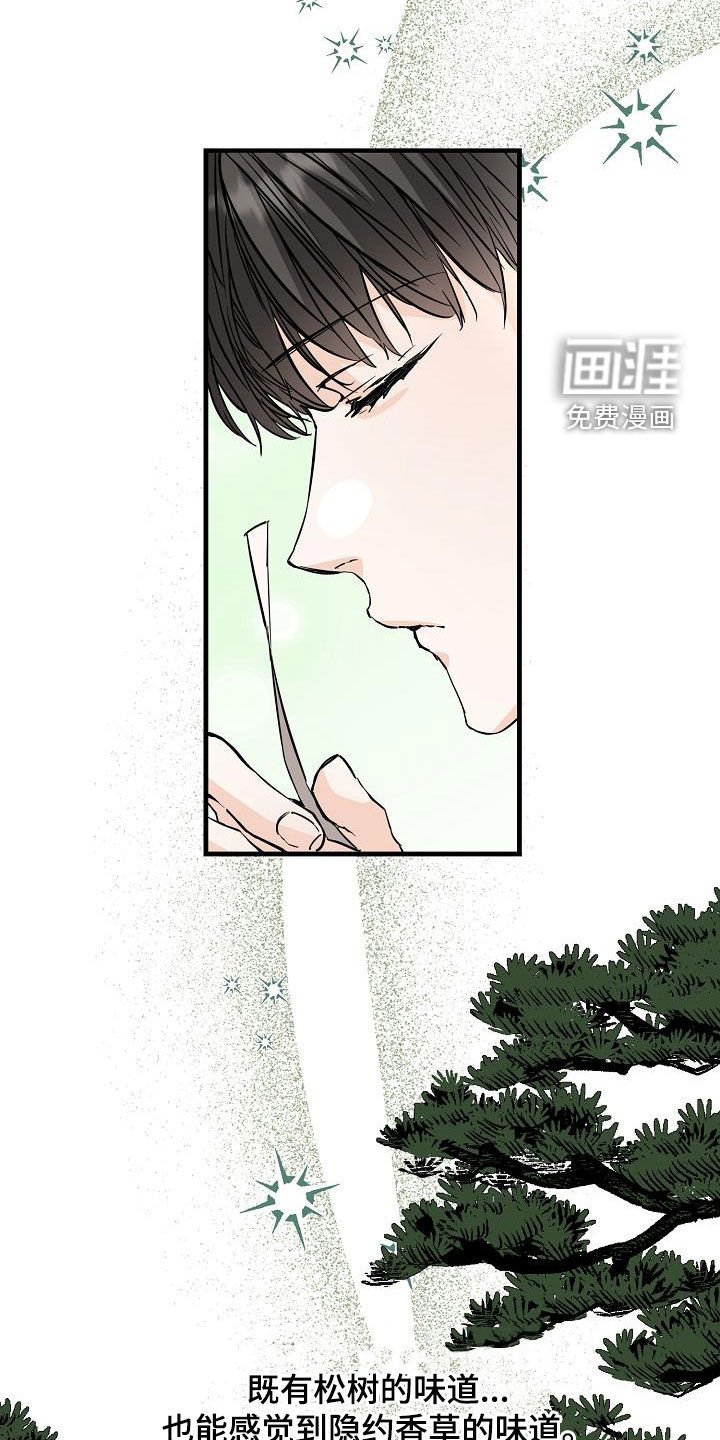 第65章：丢失