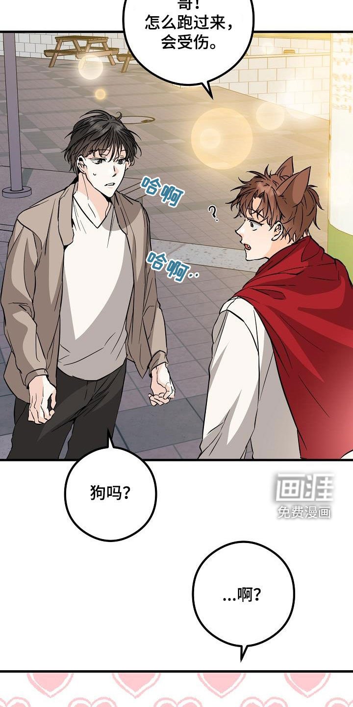 第65章：丢失
