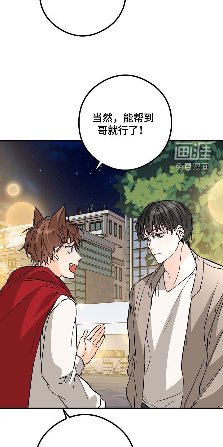 第66章：不理解
