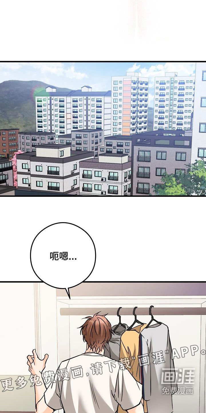 第75章：今天很好看