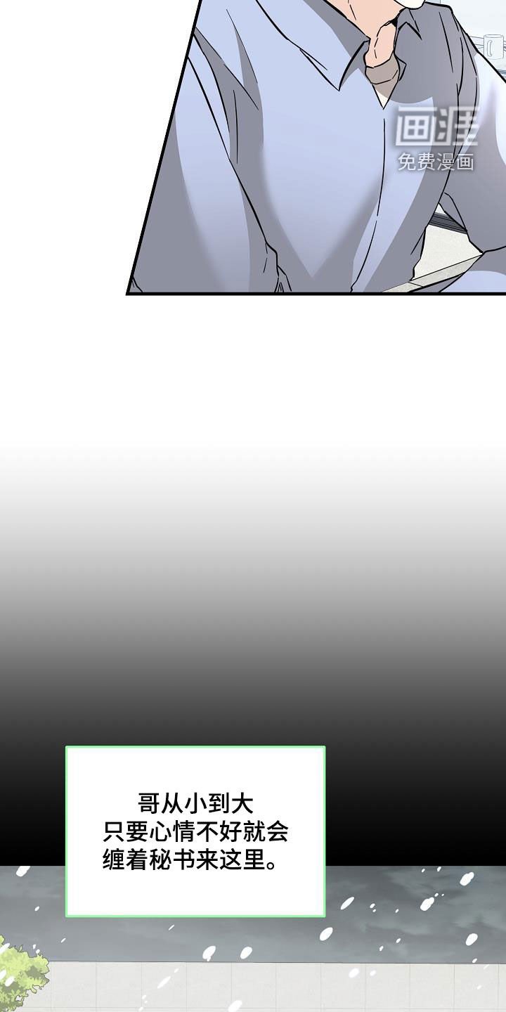 第79章：荣幸