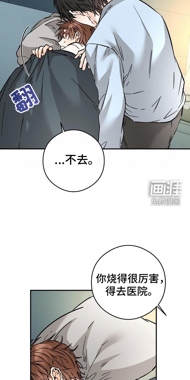 第85章：这样就好