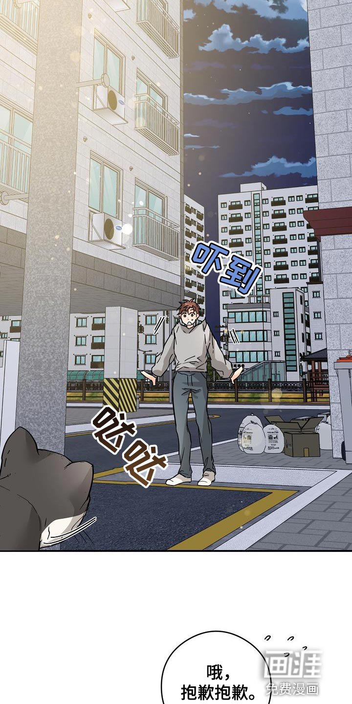 第90章：猫咪