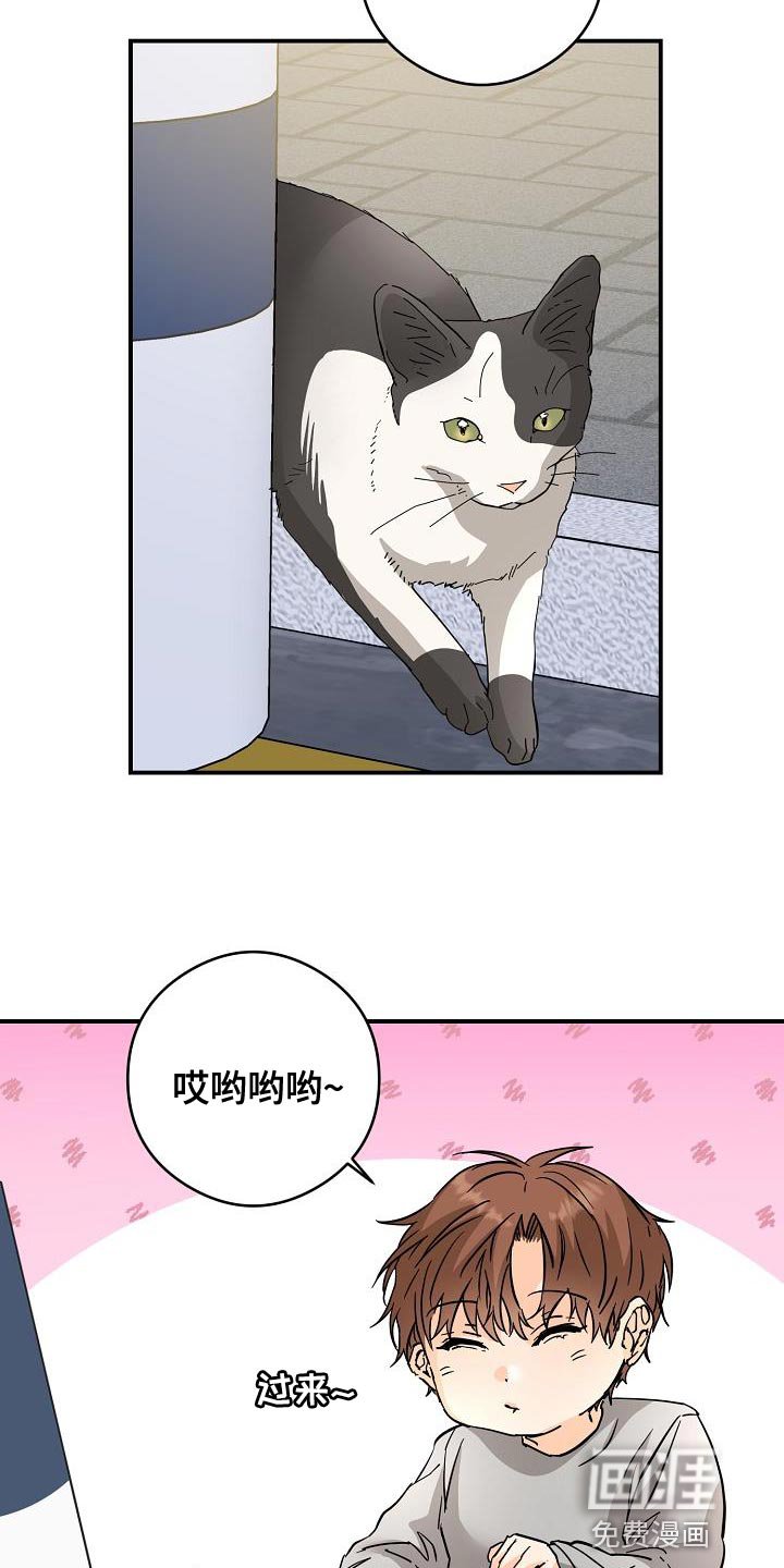 第90章：猫咪