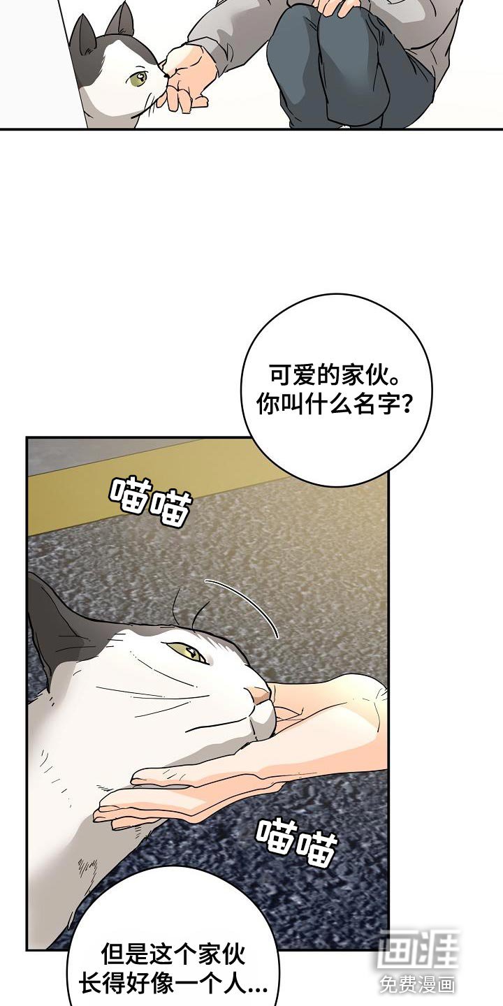 第90章：猫咪