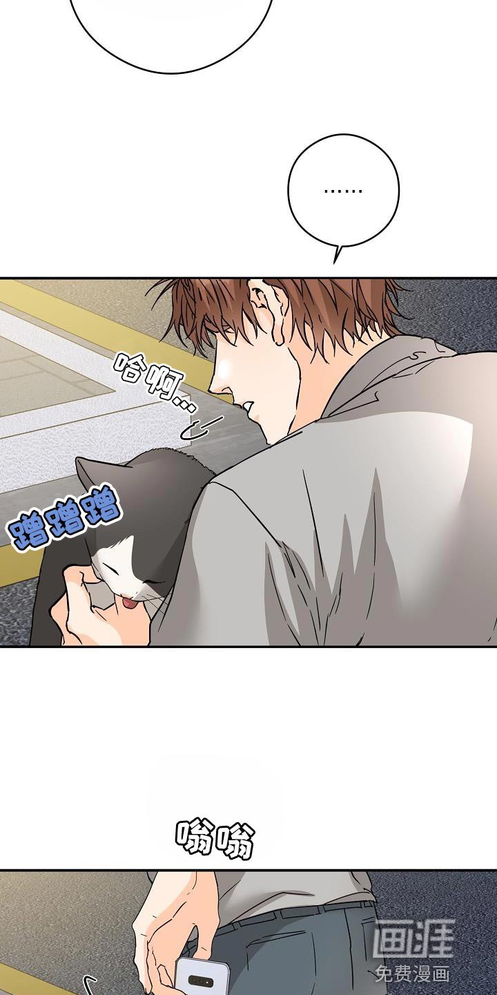 第90章：猫咪