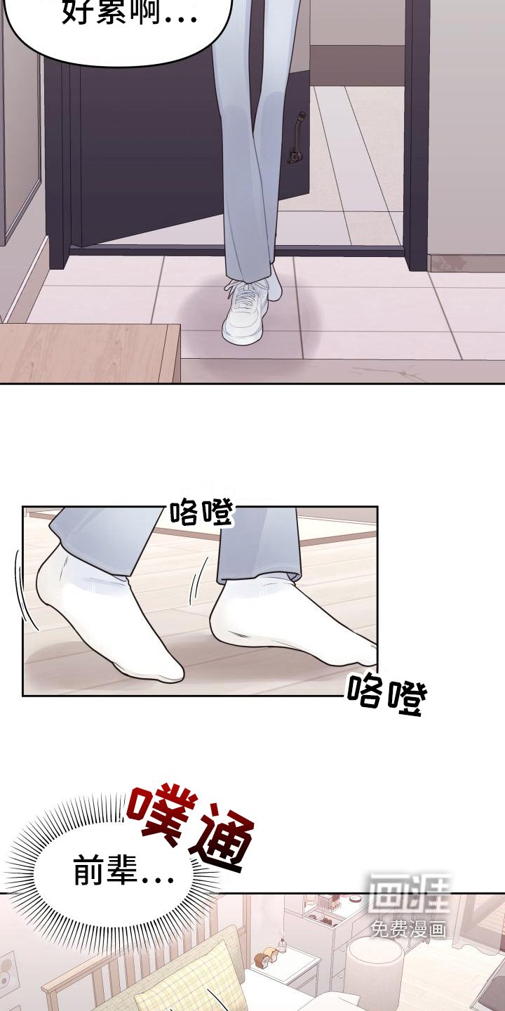 第12章：建议