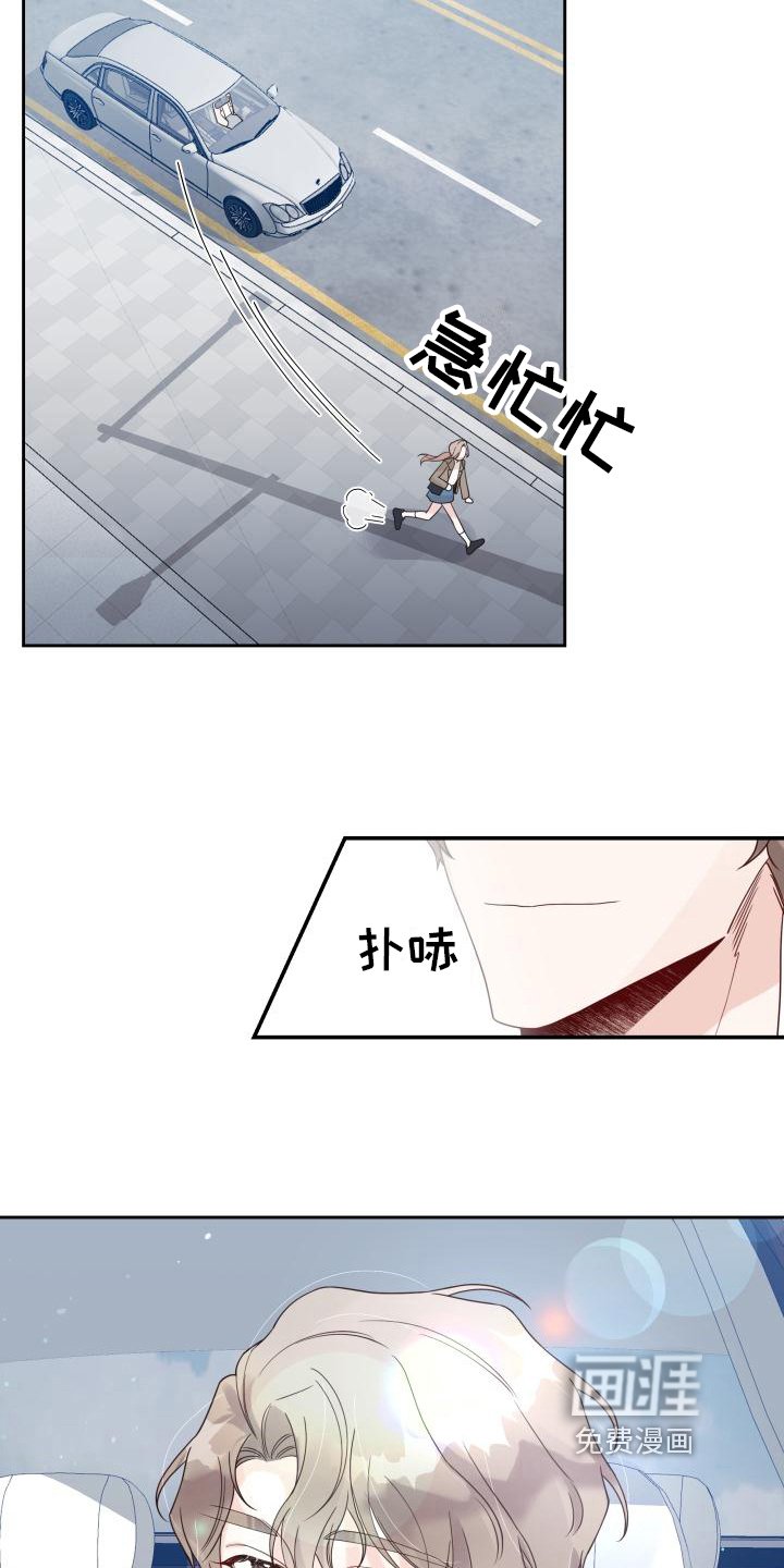 第19章：提议