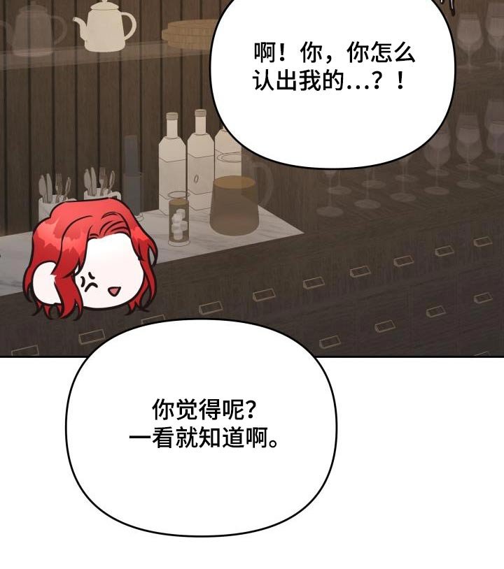 第48章：为何