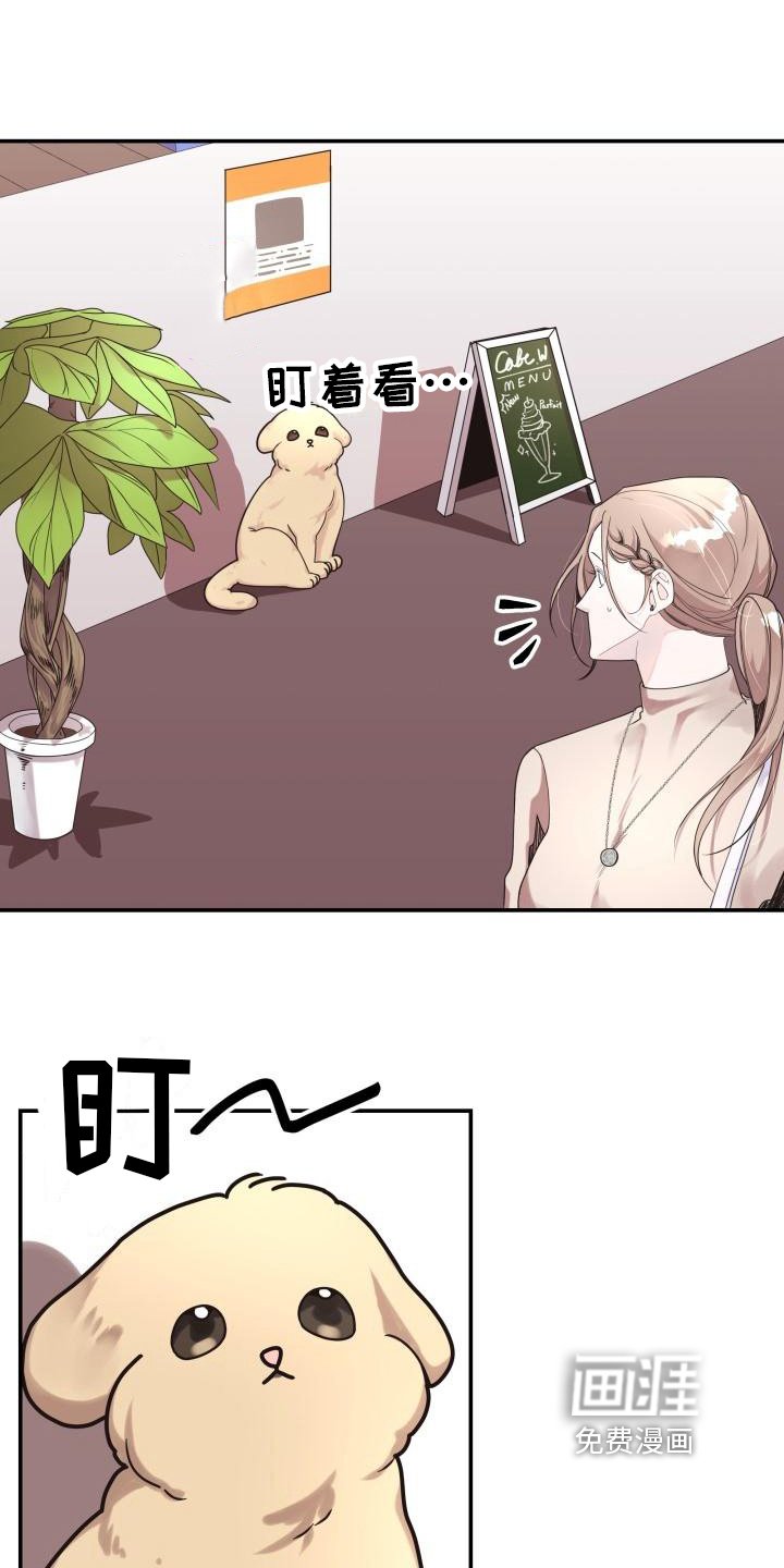 第6章：拒绝