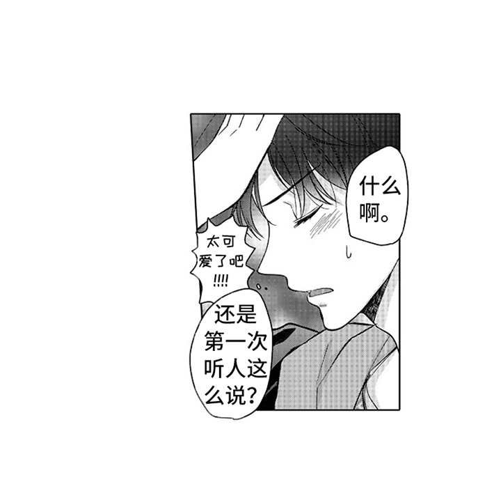 第15章：蒸蒸日上