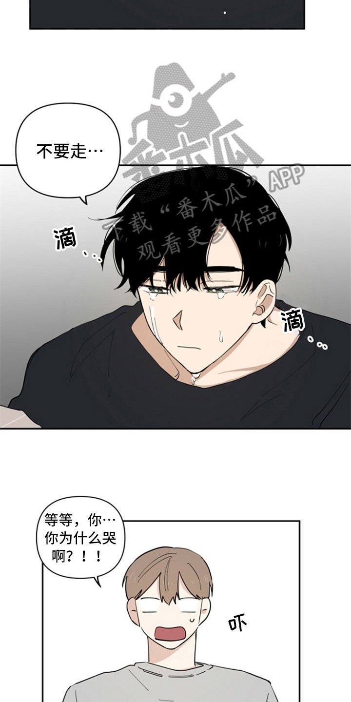 第13章：带回家