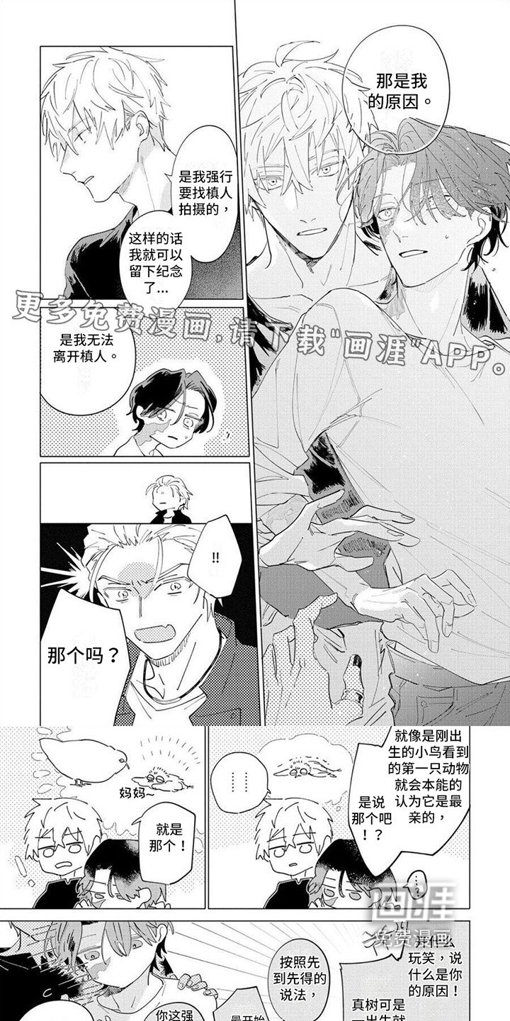 第16章：理解