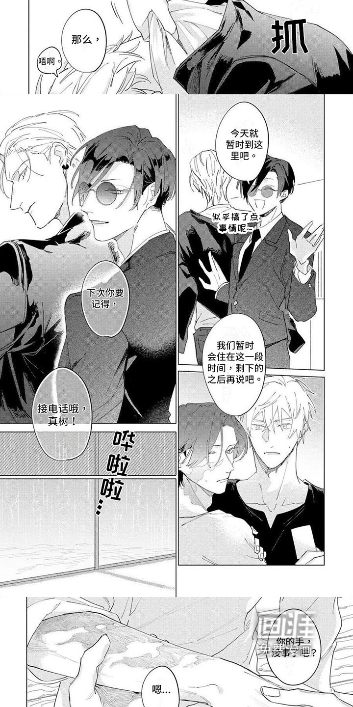 第16章：理解