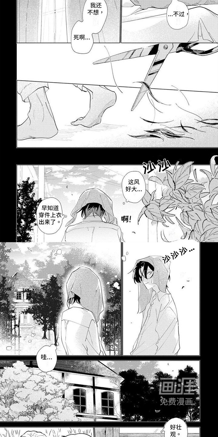 第19章：散心