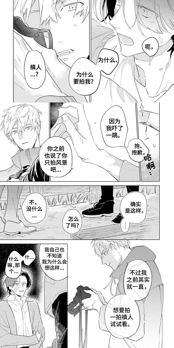 第3章：美丽