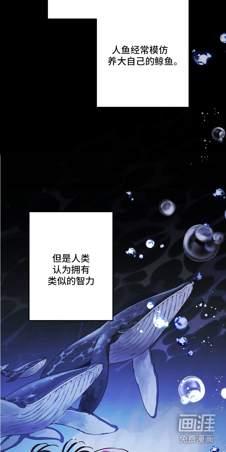 第11章：等不及了