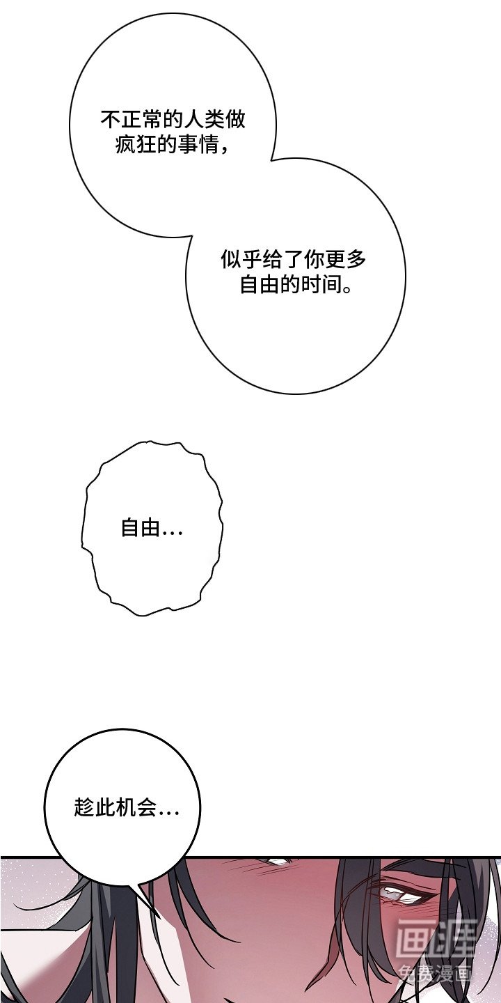 第11章：等不及了
