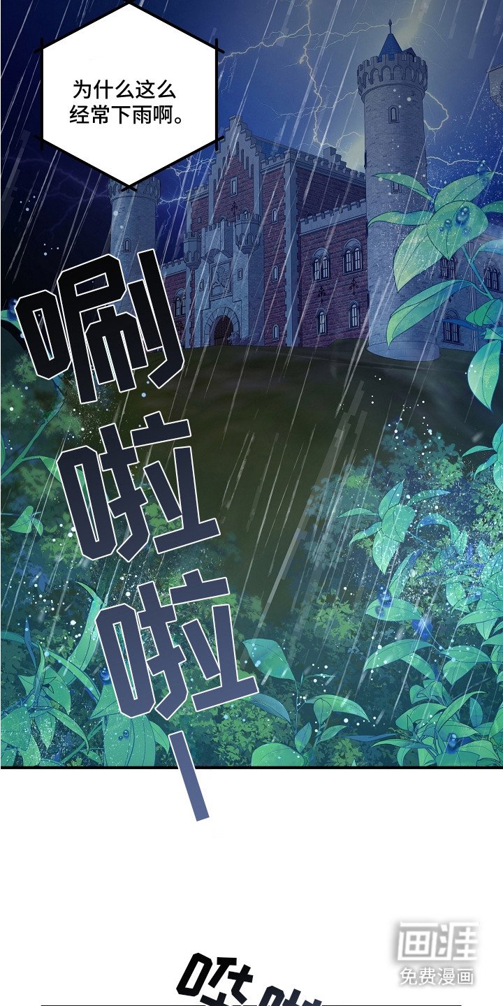 第12章： 暗中观察