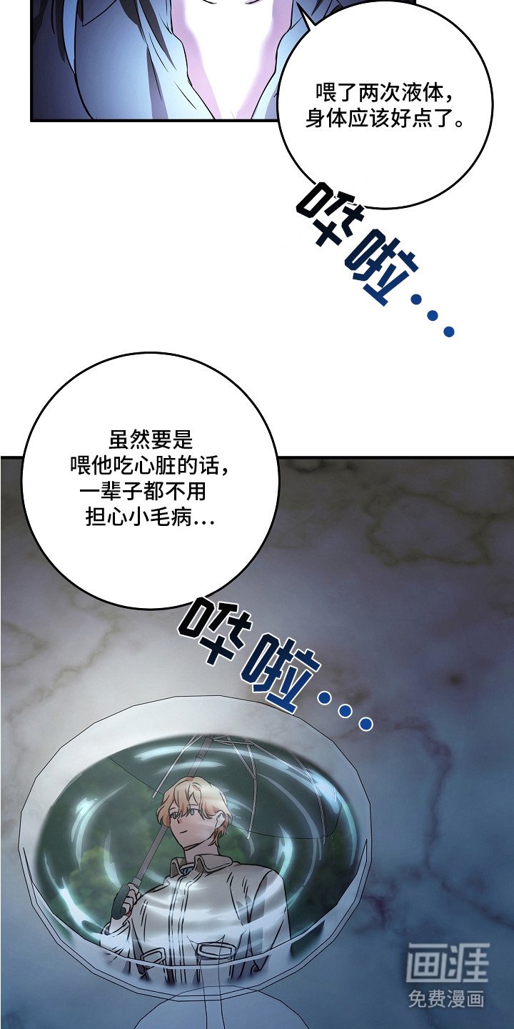 第12章： 暗中观察