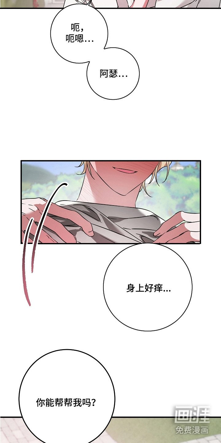 第14章：来到家里